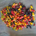 Peperzaden te koop; van fruitig tot superhot, Ophalen of Verzenden, Nieuw
