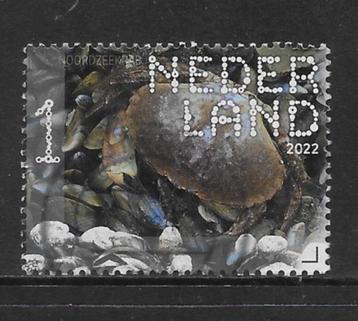 2022, Fort Ellewoutsdijk, Noordzeekrab [3991] (K0735) beschikbaar voor biedingen