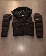 Burberry Jas Bodywarmer - Nieuw! Maat S, Kleding | Heren, Bodywarmers, Zwart, Ophalen of Verzenden, Zo goed als nieuw, Burberry
