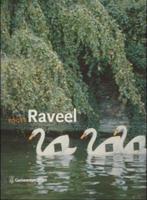 ROGER RAVEEL 1921-2013 Monografie hardcover Nederlands, Verzenden, Zo goed als nieuw