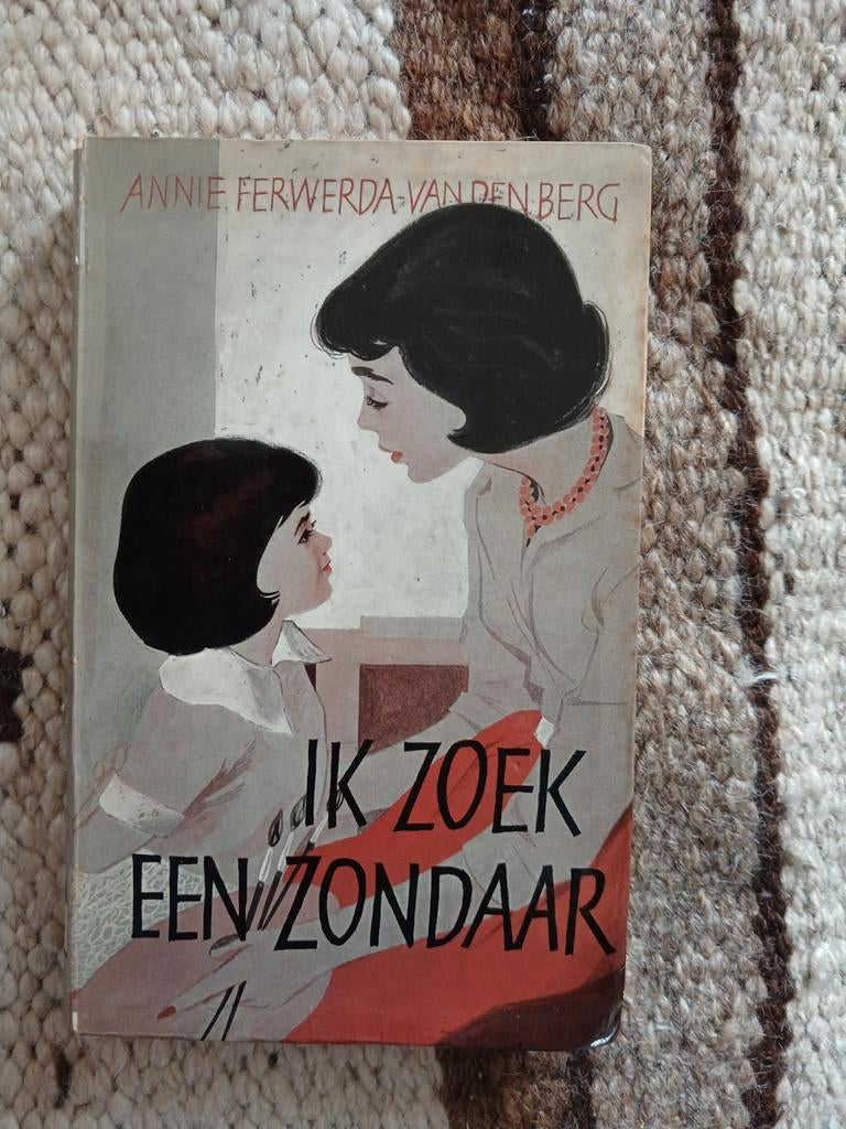 Annie ferwerda van den berg ik zoek een zondaar 2e druk, Boeken, Ophalen
