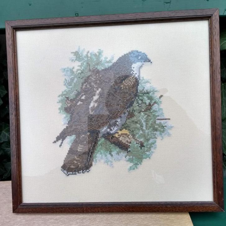 Hand geborduurd schilderij vogel achter glas 32 x 34 cm, Hobby en Vrije tijd, Borduren en Borduurmachines, Zo goed als nieuw, Handborduren