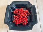 Fruittest Delfts aardewek jaren 80-90 Kleur zwart., Ophalen of Verzenden, Effen, Aardewerk, Schaal of Schalen