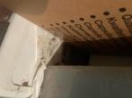 Wasmachine, Witgoed en Apparatuur, Wasmachines, Ophalen, Gebruikt