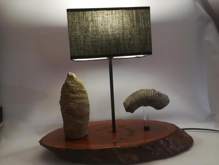 Tafellamp met fosielen, Huis en Inrichting, Lampen | Tafellampen, Zo goed als nieuw, Minder dan 50 cm, Ophalen of Verzenden