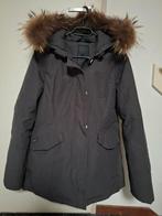 Airforce jas dames, Maat 38/40 (M), Airforce, Ophalen of Verzenden, Grijs