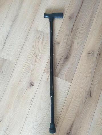 Wandelstok  beschikbaar voor biedingen