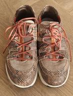 Xsensible Stretchwalker Lille Maat 40G, Xsensible, Bruin, Gedragen, Wandelschoenen