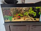 Nette Juwel 180 aquarium, Dieren en Toebehoren, Ophalen, Zo goed als nieuw, Gevuld zoetwateraquarium