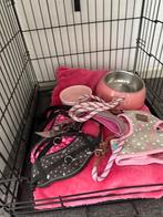 Puppy uitzet met meerdere riempjes en tuigjes, Dieren en Toebehoren, Ophalen of Verzenden, Zo goed als nieuw
