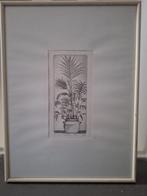 Prent/druk van Marian v. Brakel, Ophalen