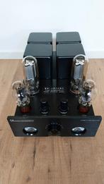 AUDIO RENAISSANCE LS 845-5 (gemodificeerd), Ophalen, Versterker