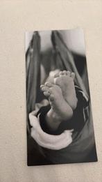 Finn, Ophalen of Verzenden, 2000 tot heden