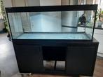 Juwel rio 450 met multilux led lampen, Dieren en Toebehoren, Ophalen, Gebruikt, Leeg aquarium