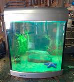 Aquafish 40 liter aquarium., Dieren en Toebehoren, Verzenden, Zo goed als nieuw, Leeg aquarium