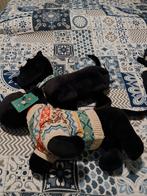 Takkie en Siepie Hema, Kinderen en Baby's, Speelgoed | Knuffels en Pluche, Ophalen of Verzenden, Nieuw, Poes