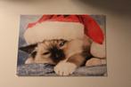Katten Postkaart - Slapend Kitten met Kerstmuts, Postalo, Ongelopen, Verzenden, 1980 tot heden, Hond of Kat