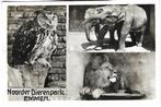 E22 Emmen Noorder Dierenpark, Verzamelen, Ansichtkaarten | Nederland, Ophalen of Verzenden, 1940 tot 1960, Gelopen, Drenthe