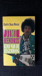 Jimi Hendrix - Kind van de regenboog (Charles Shaar Murray), Ophalen of Verzenden, Gelezen, Artiest, Charles Shaar Murray