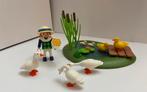 Playmobil 3115 - Vijver met Eenden, Ganzen en kikker, Ophalen, Gebruikt, Complete set