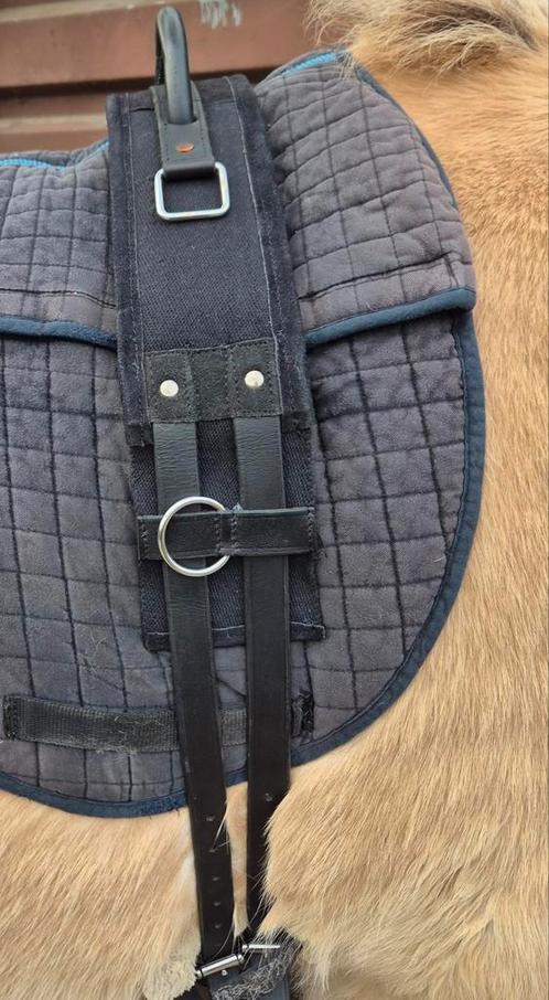 Longeersingel met handvat, Dieren en Toebehoren, Paarden en Pony's | Hoofdstellen en Tuigage, Nieuw, Ophalen of Verzenden
