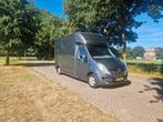 Renault Master Roelofsen Parados paardenwagen, pro-safety in, Gebruikt, Overige typen