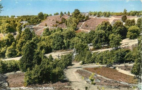 (387-250-003) De Steeg Omgeving De Posbank, Verzamelen, Ansichtkaarten | Nederland, Gelderland, Verzenden