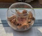 Decoratief theelichtjes houder, Ophalen of Verzenden, Zo goed als nieuw, Overige materialen, Minder dan 25 cm