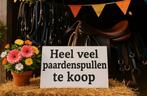 Ontzettend veel paarden spullen, Ophalen of Verzenden