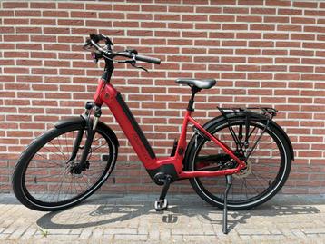 Super mooie Adavanced Tour Pro wave ( nieuw ) Chrused Berry beschikbaar voor biedingen