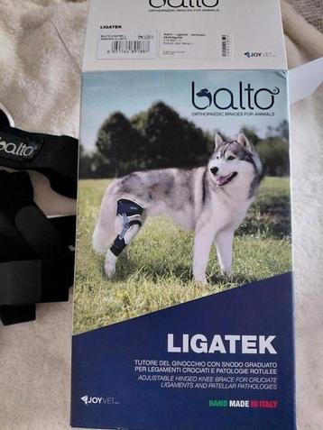 Balto honden brace, mt L beschikbaar voor biedingen
