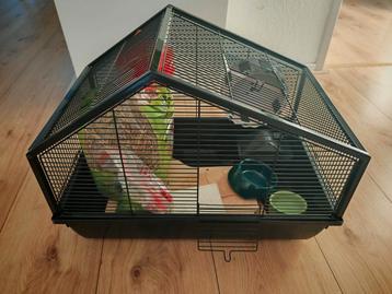 Kooi met toebehoren L58xB38xH43cm beschikbaar voor biedingen