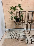 Etagere plantenrek metaal tuin, Tuin en Terras, Ophalen, Gebruikt, Rond, Metaal