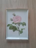 Mooi schaaltje met roos, Limoges, Ophalen of Verzenden, Overige stijlen, Porselein, Schaal of Schalen