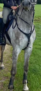 Borsttuig QHP full, Dieren en Toebehoren, Ophalen of Verzenden