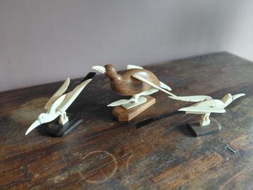 Vintage afrikaanse vogels beschikbaar voor biedingen