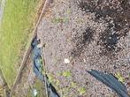 Gratis grind afhalen vandaag anders gaat het naar de stort, Tuin en Terras, Ophalen, Gebruikt, Overige materialen