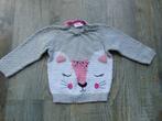 Trui grijs poesje / kat truitje maat 74, Kinderen en Baby's, Babykleding | Maat 74, Ophalen of Verzenden, Zo goed als nieuw, So cute