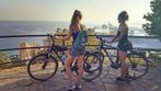 e-bike service Twente accu en  fiets reparatie, Snelservice, Fietsreparatie