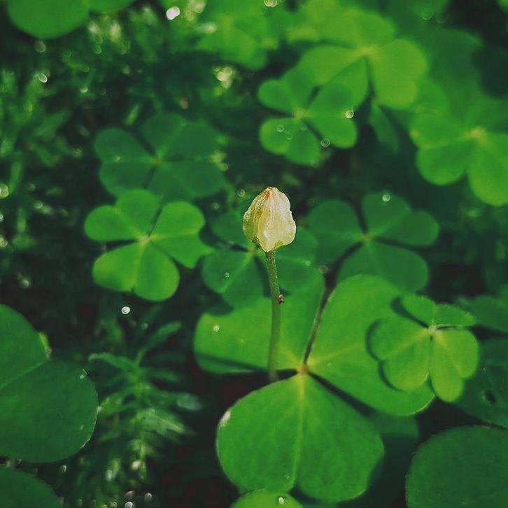 Op zoek naar huurwoning in Tiel na scheiding, Boeken, Advies, Hulp en Training, Ophalen