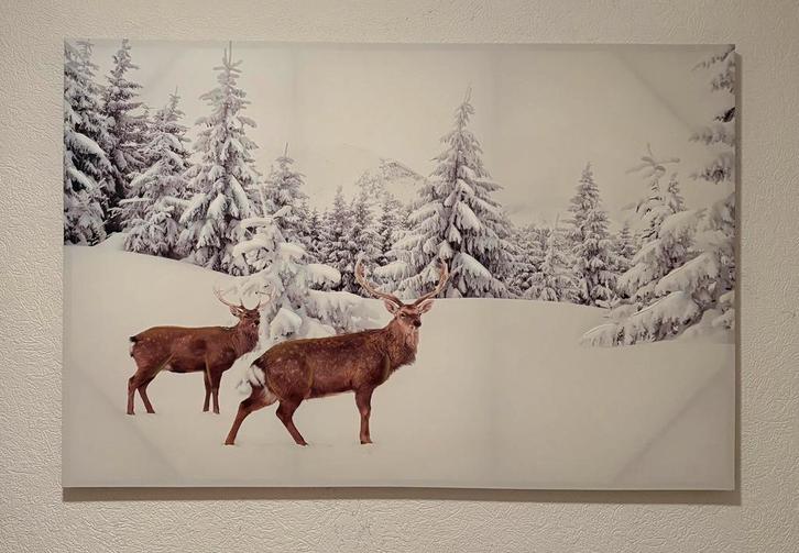 Winterse afbeelding 120x80cm, Antiek en Kunst, Kunst | Schilderijen | Abstract, Ophalen