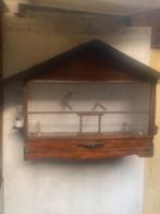 tekoop mooie stevige merel/lijsterkooi, Ophalen, Zo goed als nieuw, Hout, Vogelkooi