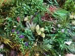 Hobbyplanten / aquarium planten / miniatuur, Hobby en Vrije tijd, Knutselen, Ophalen of Verzenden, Zo goed als nieuw, Materiaal