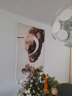 Mooi Schilderij van een Schotse Hooglander, Ophalen, Zo goed als nieuw, Schilderij, 75 tot 100 cm