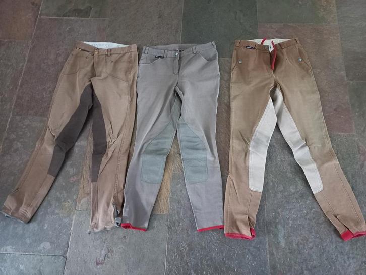 Paardrijbroeken dames maat 38, Dieren en Toebehoren, Paardrijkleding, Zo goed als nieuw, Dames, Onderkleding, Overige soorten