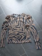 Bruin shirt maat 152/158, Kinderen en Baby's, Kinderkleding | Maat 152, Ophalen of Verzenden, Gebruikt, Meisje, Shirt of Longsleeve