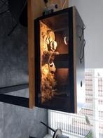 Terrarium, Dieren en Toebehoren, Ophalen, Zo goed als nieuw