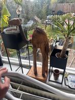 Houten kameel decoratie, Ophalen of Verzenden, Gebruikt, Bruin, Hout