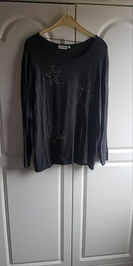 Top grijs met glittter opdruk maat L, Kleding | Dames, Tops, Verzenden, Maat 42/44 (L), Zo goed als nieuw, Lange mouw