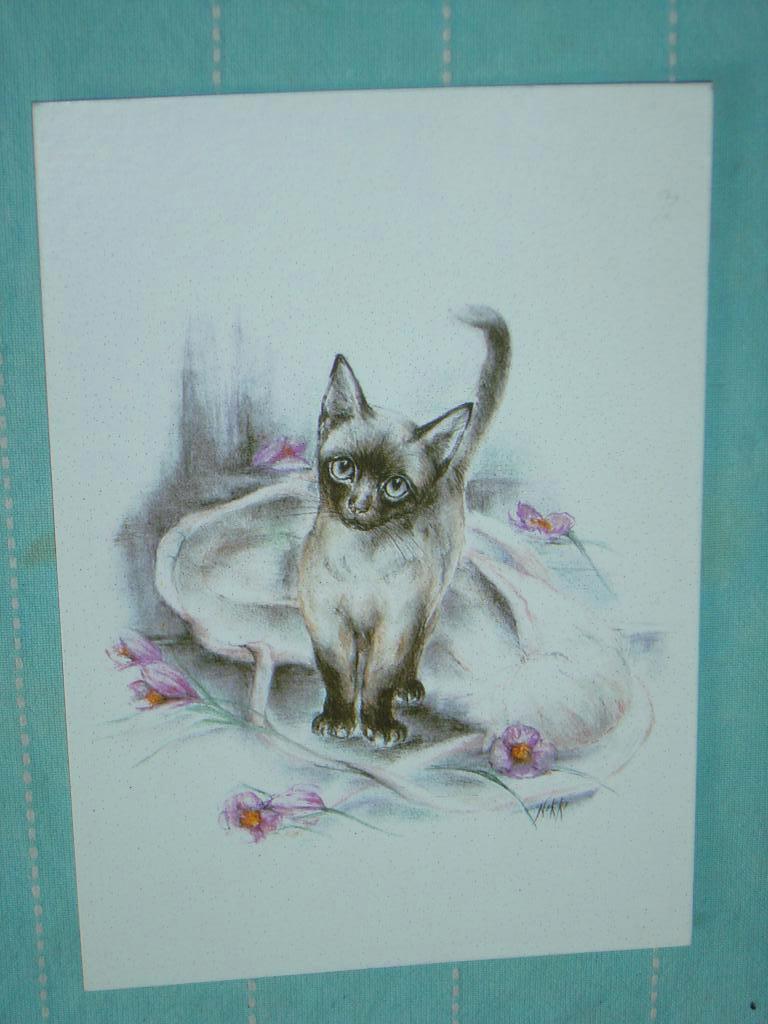 2) Getekende "Nikki" ansichtkaart Poes, Ophalen of Verzenden, 1980 tot heden, Gelopen, Hond of Kat